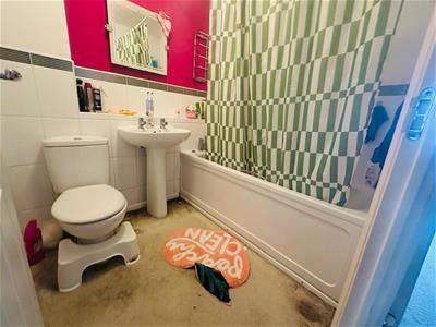 Picture 14